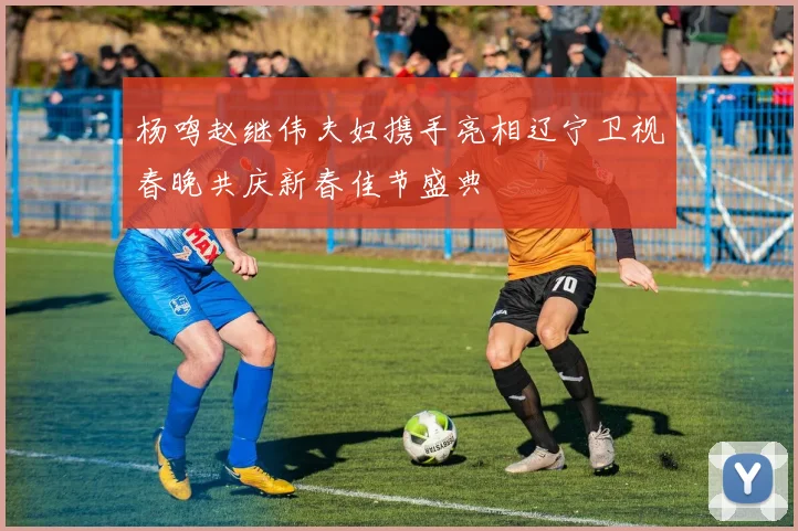 杨鸣赵继伟夫妇携手亮相辽宁卫视春晚共庆新春佳节盛典