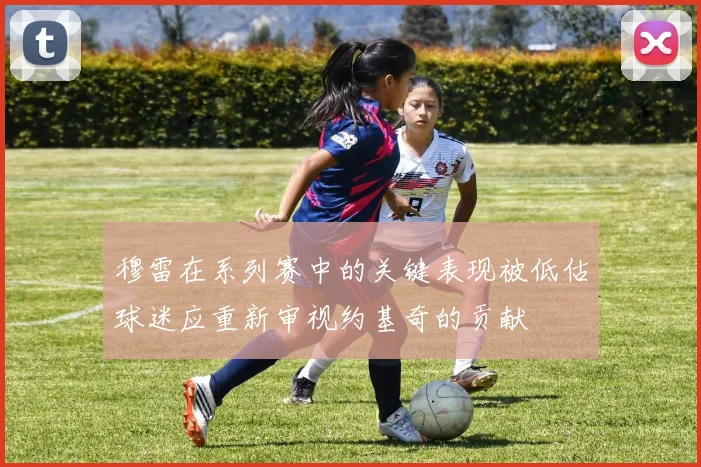 穆雷在系列赛中的关键表现被低估球迷应重新审视约基奇的贡献