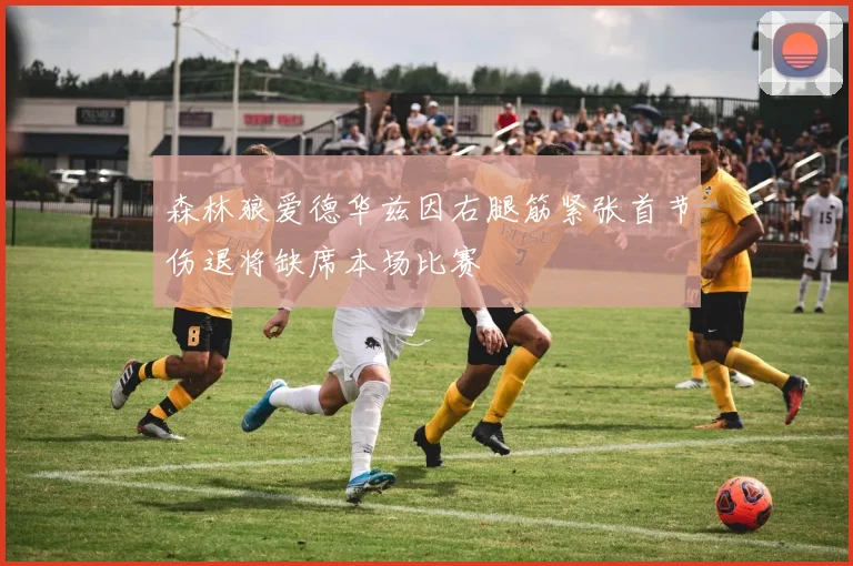 森林狼爱德华兹因右腿筋紧张首节伤退将缺席本场比赛